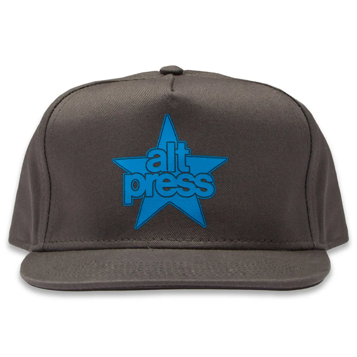 AP STAR LOGO HAT