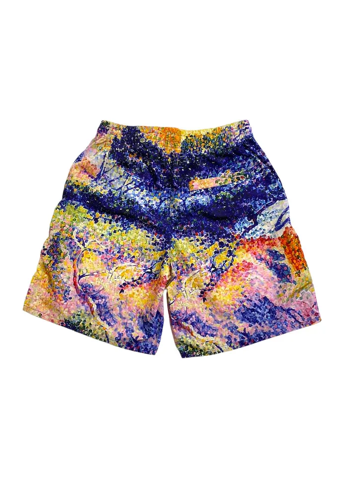 Men AKOO Landscape Short