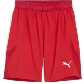 Puma TEAMFINAL SHORTS