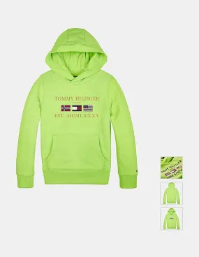 Tommy Hilfiger Kids Boys Light Green Printed Hooded Cotton Sweatshirt